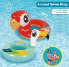 Jilong, kółko do pływania, zwierzątka, tucan, 55 cm
