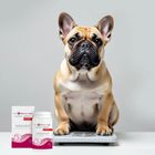 JM Sante, Vet Protector, Gastro Apetyt Stop, suplement hamujący nadmierny apetyt dla psów i któw, 150g