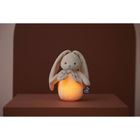 Kaloo, Lapinoo, Królik, przytulanka, lampka nocna