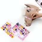 Kidea, Hobby horse, model 3D do samodzielnego złożenia