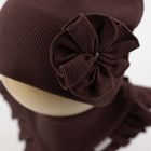 Komplet dziewczęcy, Czapka, Apaszka, brązowy, Nicol