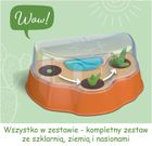 Kosmos, Pustynia Kaktusów, zestaw edukacyjny