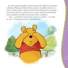 Kubuś i Przyjaciele. Opowiastki ze Stuwiekowego Lasu. Kubusiowa zabawa w chowanego