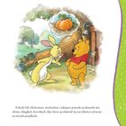 Kubuś i Przyjaciele. Opowiastki ze Stuwiekowego Lasu. Nasionka przyjaźni