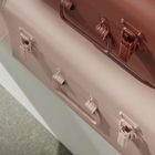 La Factory, The king of the jungle, pudełka dekoracyjne, walizki, 2 szt.