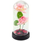 Lean Toys, 2 wieczne róże w kopule, z oświetleniem LED