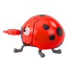 Lean Toys, biedronka nakręcana