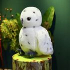 Lean Toys, Sowa, maskotka, biała, 23 cm