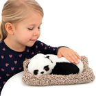 Lean Toys, śpiąca panda na poduszce, maskotka