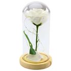 Lean Toys, wieczna róża w kopule, z oświetleniem LED