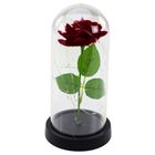 Lean Toys, wieczna róża w kopule z oświetleniem LED, czerwona, 21-11 cm