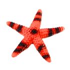 Lean Toys, zwierzęta morskie, zestaw figurek, 5 elementów