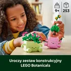LEGO Botanicals, Bujające się roślinki, ozdoba dla dzieci, 11506