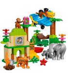 LEGO DUPLO, Dżungla, 10804