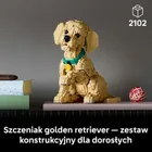 LEGO Icons, Szczeniak golden retriever, 11384