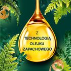 Lenor, Cedar Wood & Pine Tree, płyn do płukania tkanin, 925 ml