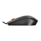 Lenovo, mysz optyczna, 300 USB Mouse GX30M39704, 1600 DPI, czarny