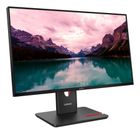 Lenovo, ThinkVision T24-40, 23.8"FHD, IPS AG 4ms, 250nits, 120Hz, HDMI, DP, USB, Eclipse Black