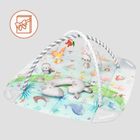 Lionelo, Anika, mata edukacyjna, natural