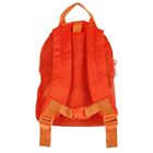 LittleLife, Friendly Faces, Lew, plecak dla przedszkolaka