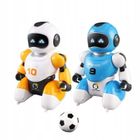 Madej, Soccer Robot, roboty interaktywne