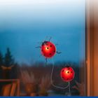 Maximex, lampki ogrodowe solarne, biedronki LED, 20 cm, 2 szt.