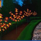 Maximex, lampki ogrodowe solarne, storczyki LED, 75 cm, 2 szt.