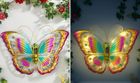 Maximex, ozdoba ogrodowa na ścianę, motyl solarny LED, 54-40 cm