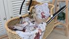 MimiNu, NewMinky, Teddy, poduszeczka płaska, miś na księżycu + beż, 30 cm