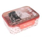 Miss Melody, Blossom Pony, lunchbox z przegródkami