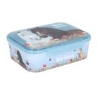 Miss Melody, lunchbox z przegródkami