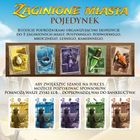 Nasza Księgarnia, Zaginione miasta: Pojedynek, karciana gra strategiczna