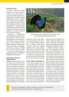 National Geographic. Parki narodowe Europy