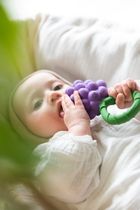 Oli & Carol, gryzak z grzechotką, Winogrona