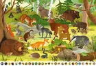 Pakiet Kakadu: Zwierzęta lasu + Puzzle interaktywne