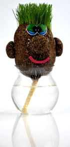 Pan Trawiastogłowy, zabawka edukacyjna