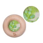 Petit Boum, grzechotka sensoryczna, kiwi