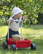 Plasto, wózek chodzik z cichymi kołami, czerwony