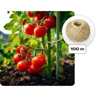 Plonos, tunel ogrodowy, szklarnia ogrodowa, 3-2m, 6m2