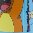 Pokemon, butelka na wodę, 560 ml