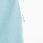 Półśpiochy chłopięce, niebieskie, Nicol