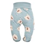 Półśpiochy chłopięce, szałwiowe, Eevi