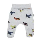 Półśpiochy chłopięce, szare, Nicol