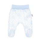 Półśpiochy dziewczęce, białe, Nicol