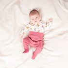 Półśpiochy dziewczęce, rózowe, Nicol