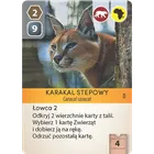 Portal Games, Ark Nova, gra strategiczna