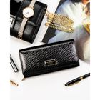 Portfel, czarny, skóra naturalna i ekologiczna, Peterson