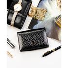 Portfel, czarny, skóra naturalna i ekologiczna, Peterson