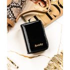 Portfel, czarny, skórzany, RFID, Rovicky