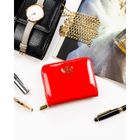 Portfel, czerwony, skóra ekologiczna, Rovicky